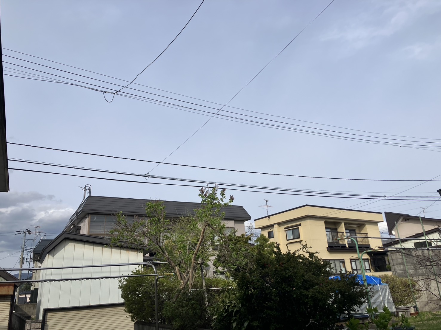 ゴールデンウイーク