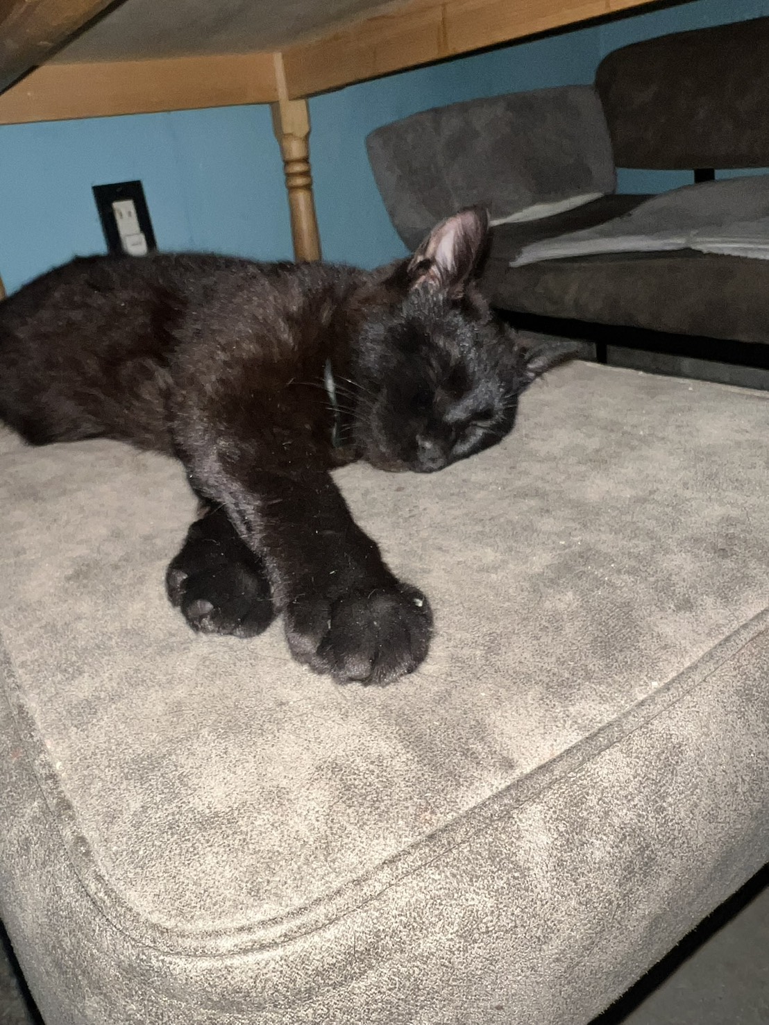 好きな子たち💯